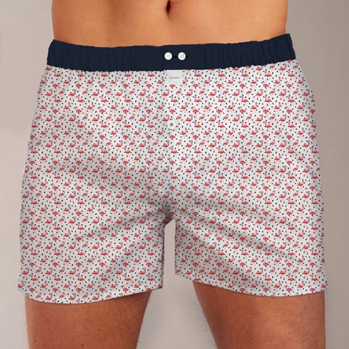 Sixtine's Boxer flamingo